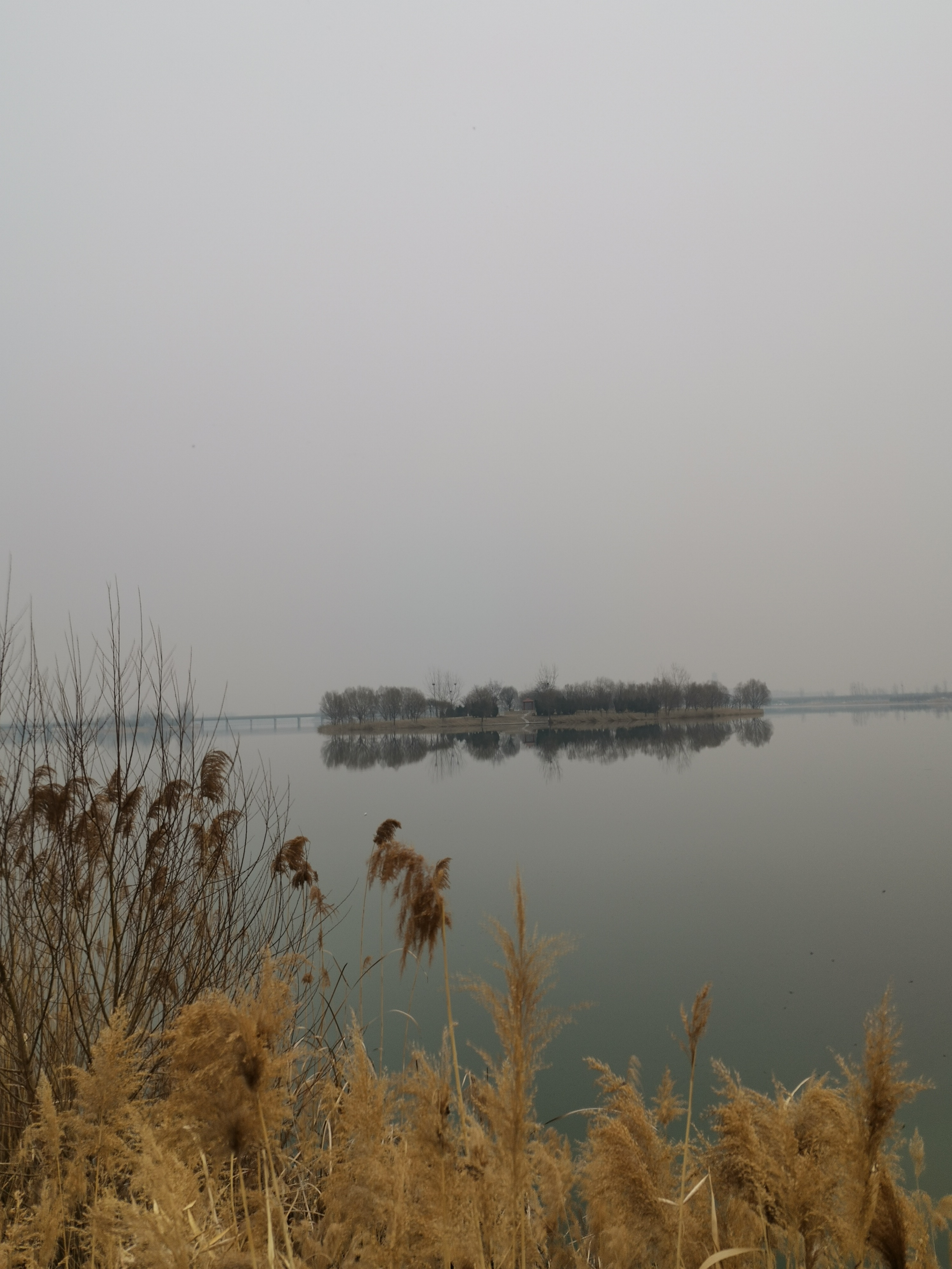 ΢��ͼƬ_20210213230053.jpg