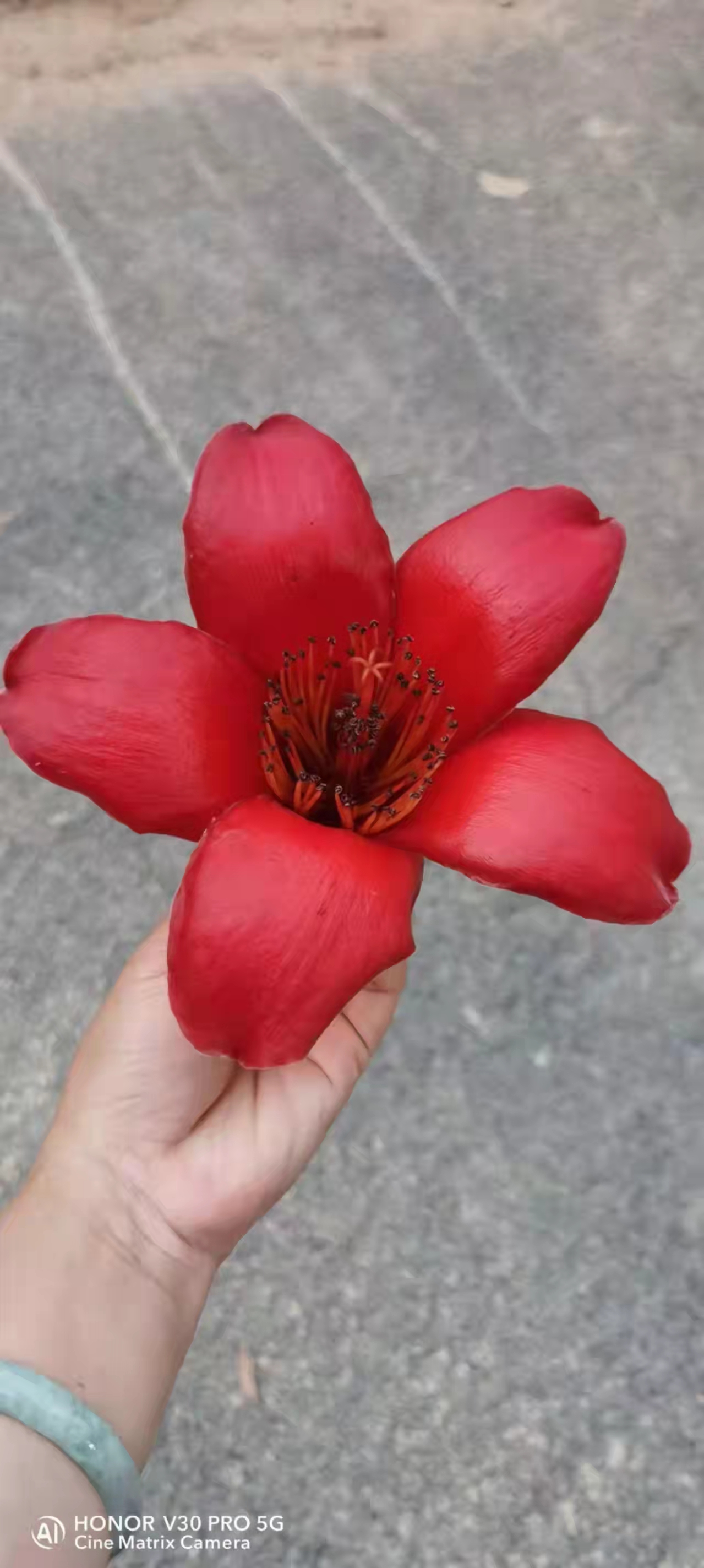 ľ�޻�����Ƽ�գ�.jpg